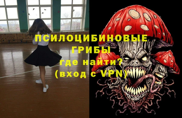 МДПВ Зеленодольск