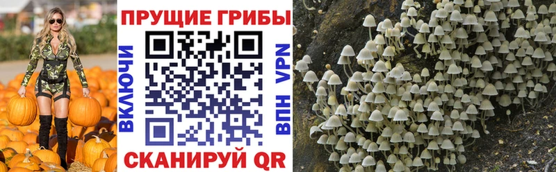 Галлюциногенные грибы GOLDEN TEACHER  где найти наркотики  Назарово 